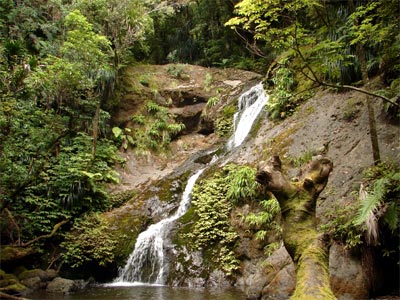 Waterfall on Okopako farm Photo