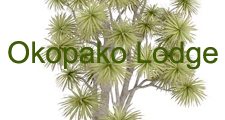 Okopako Lodge