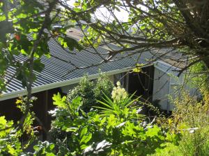 The Lodge and the yucca in flower