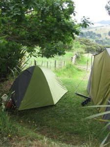 Two tents can fit on the large tent site.