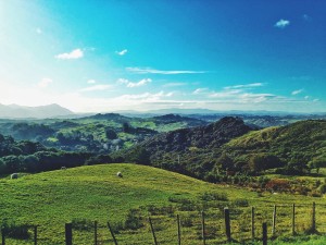 View across the paddocks