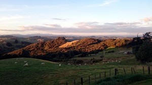 Afternoon sun falls on the Trig Station