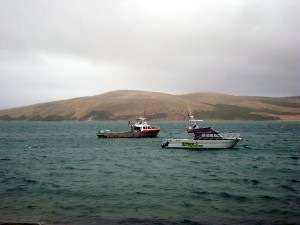 Boats moored up on a choppy harbour      