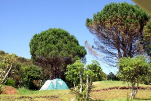 Camping at Okopako          