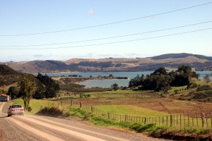 Countryside around Koutu Loop Road 