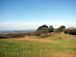 From the top paddock down to the camping ground area  