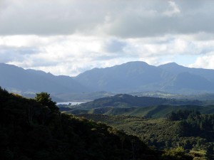 Glimpse of the Hokianga Harbour from the farm  