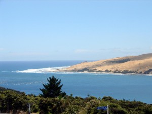 Hokianga Harbour 1 (North Head)     