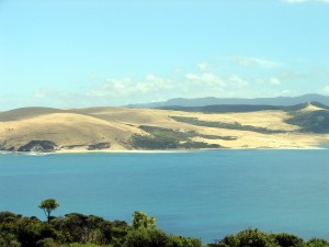 Hokianga Harbour 2 (Sand dunes)     