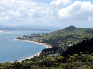 Hokianga Harbour 4 (Omapere to Opononi) 