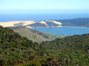 Hokianga-Harbour                   