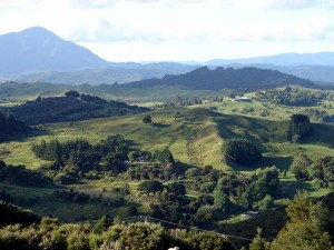 Hokianga countyside looking to the north side    