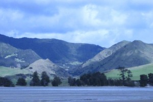 View out at Koutu Beach