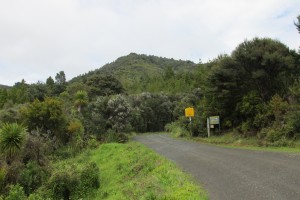 View up Mountain Road