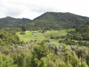 View back to farm from the Trig Station