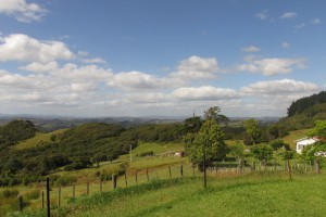 Sunshine over the paddocks