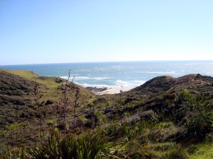 Landscape at the South Head       