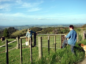 Out about the farm           