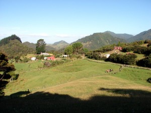 Surveying the farm & facilities from the top paddock  