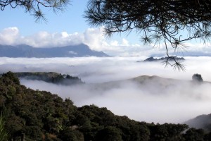 The mists of time over the Hokianga view from tent site  