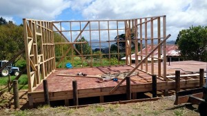 The shed with a view!           