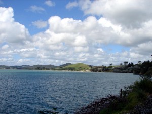 Up the harbour from Opononi end       