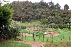 View across the gardens from one of the tent sites    