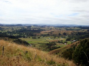 View down over Whirinaki     