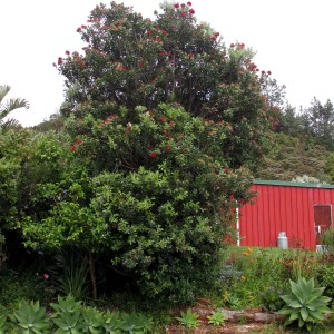 View from end of Lodge deck     