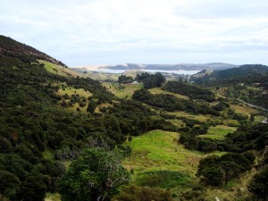 View from ridge (Trig Station Track) to the harbour