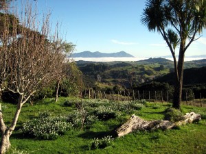 View from the front lawn near the old farmhouse  