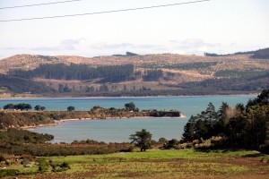 View to harbour from Koutu Loop Road       