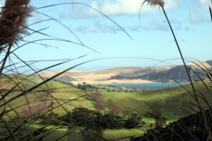 View to the dunes & harbour from Mountain Road       