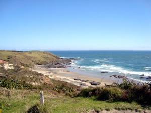 West coast landscape       