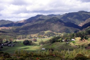 Whirinaki village from Koutu Loop Road      